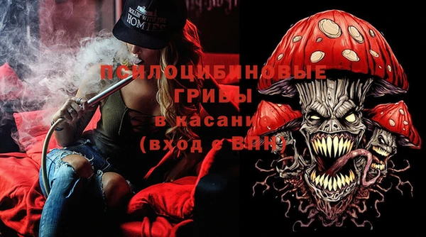 ГАЛЛЮЦИНОГЕННЫЕ ГРИБЫ Белоозёрский
